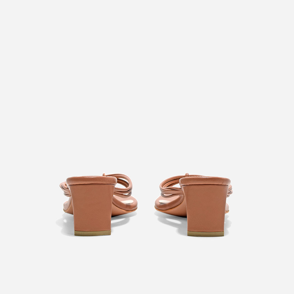 Desert Brown